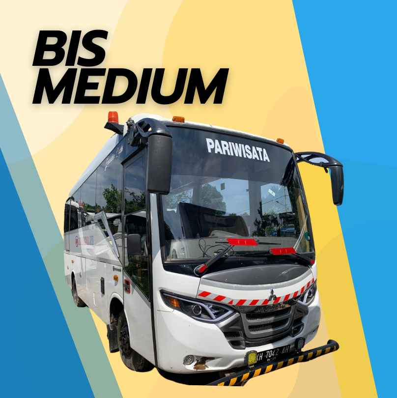 Bis Medium